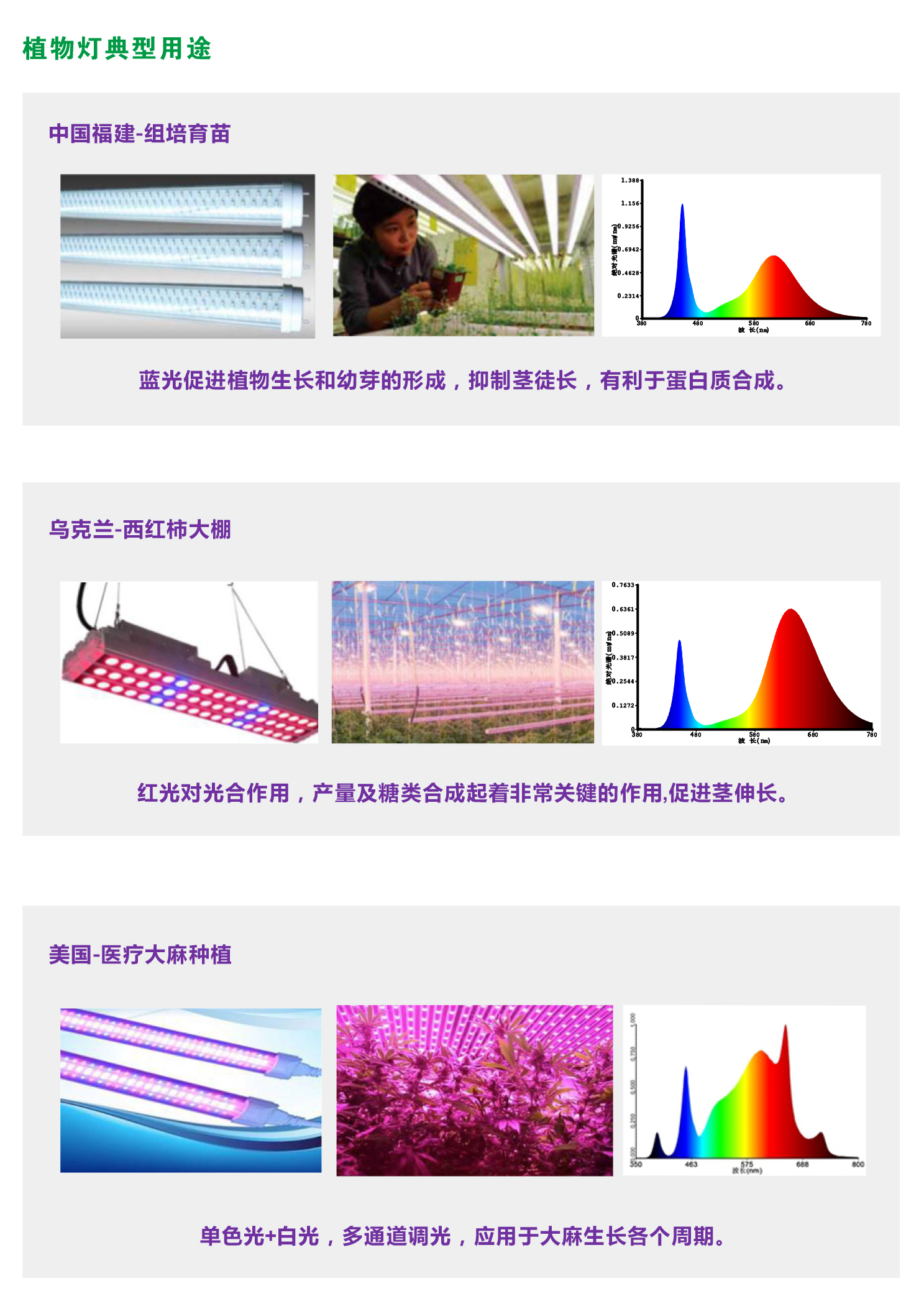 植物灯用LED灯珠用途表